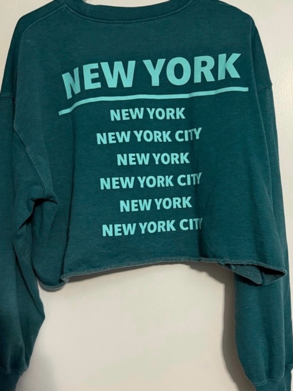 Wild Fable Teal Crewneck Sweatshirt